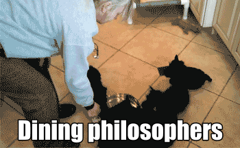Dog Philosopher